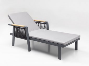 ARTEMIS PLUS �EZLONG